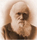 darwin.jpg (7633 bytes)